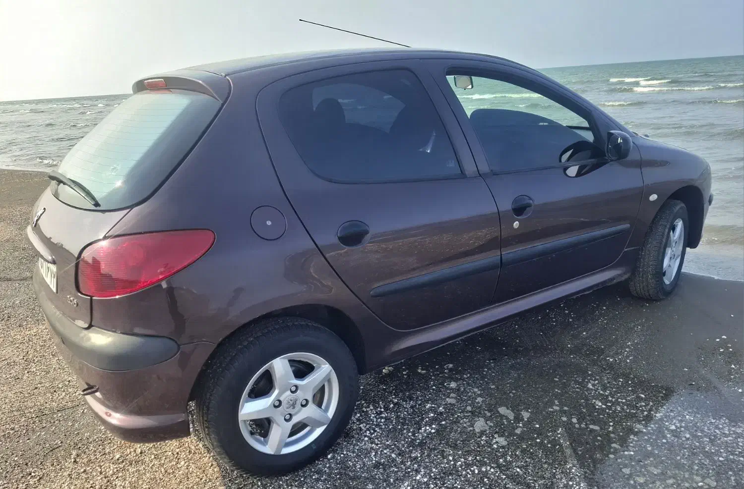 پژو 206 تیپ 5 - 1393