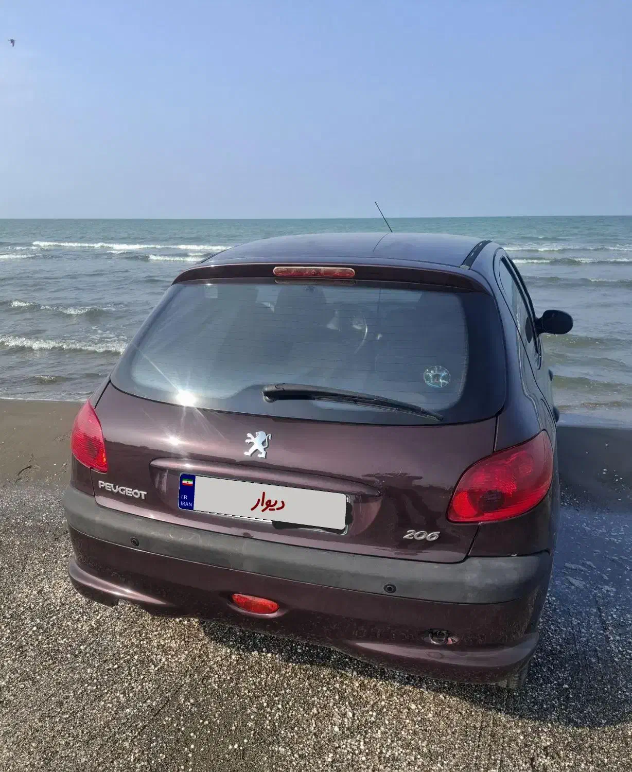 پژو 206 تیپ 5 - 1393