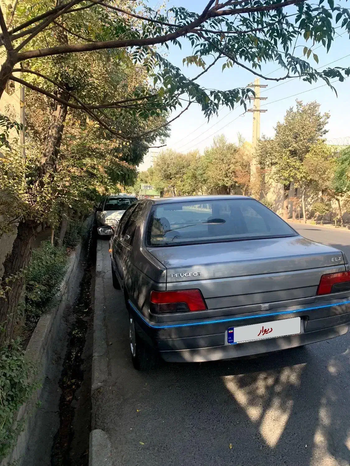 پژو 405 GLX - دوگانه سوز - 1393