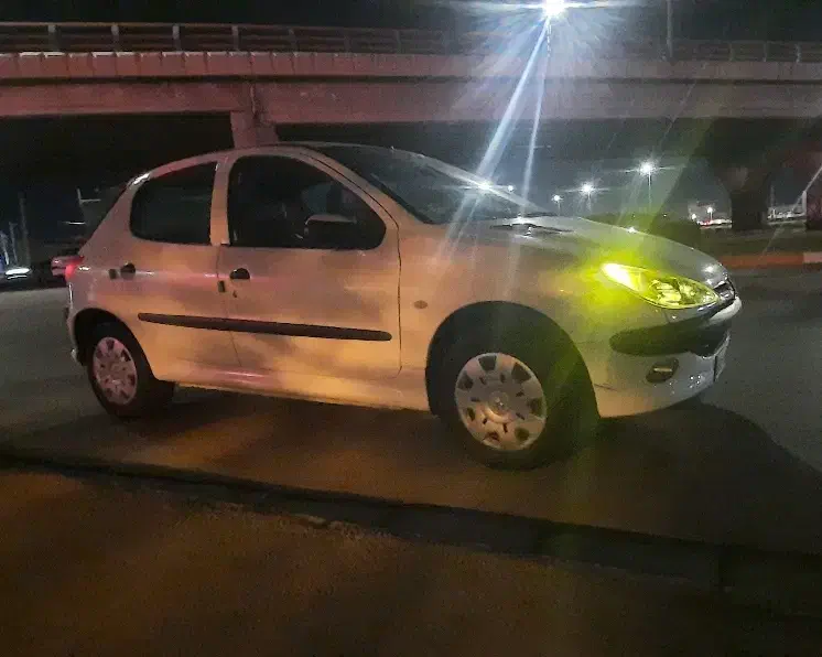 پژو 206 تیپ 2 - 1391