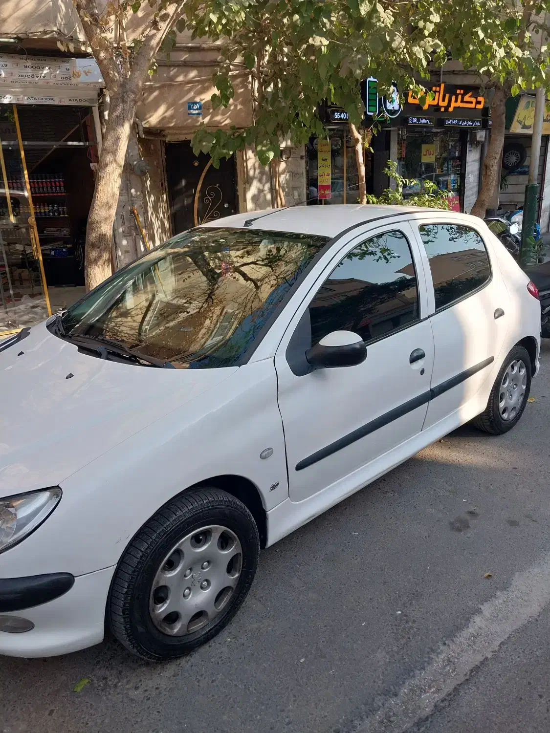 پژو 206 تیپ 5 - 1393