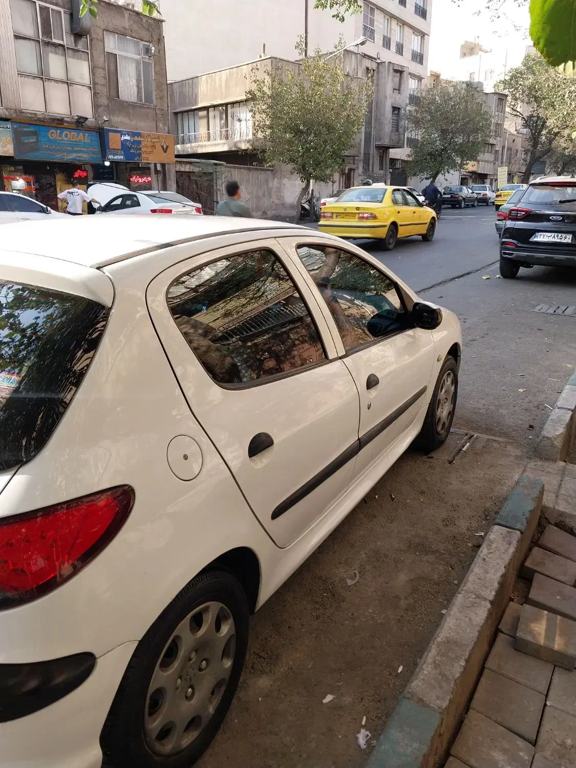 پژو 206 تیپ 5 - 1393