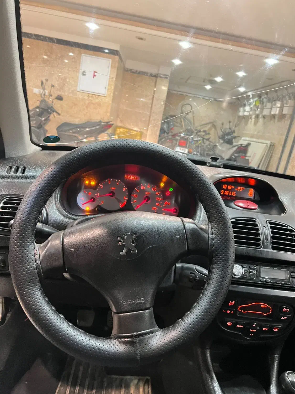 پژو 206 تیپ 5 - 1393