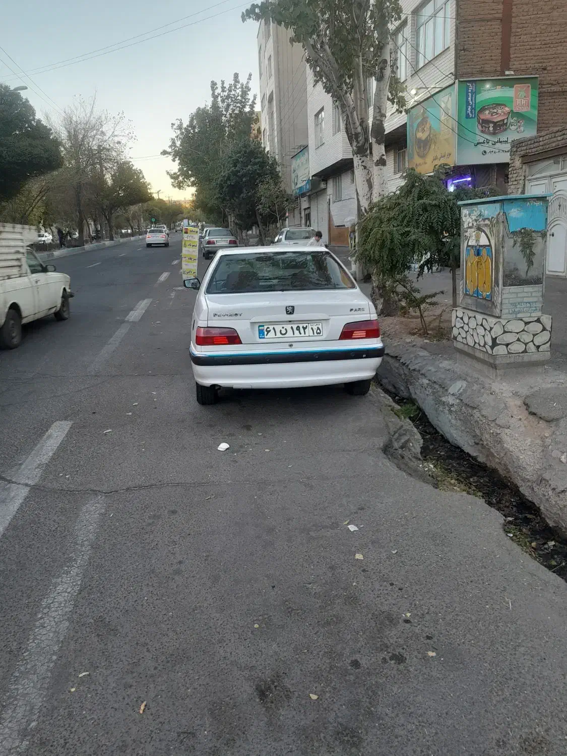 پژو پارس دوگانه سوز - 1393