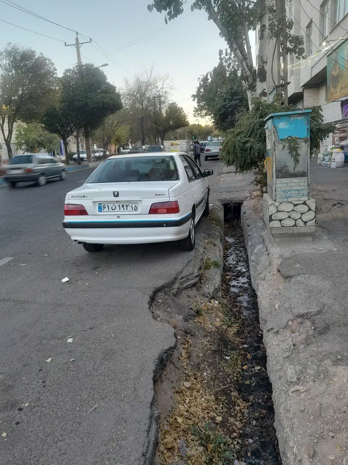 پژو پارس دوگانه سوز - 1393