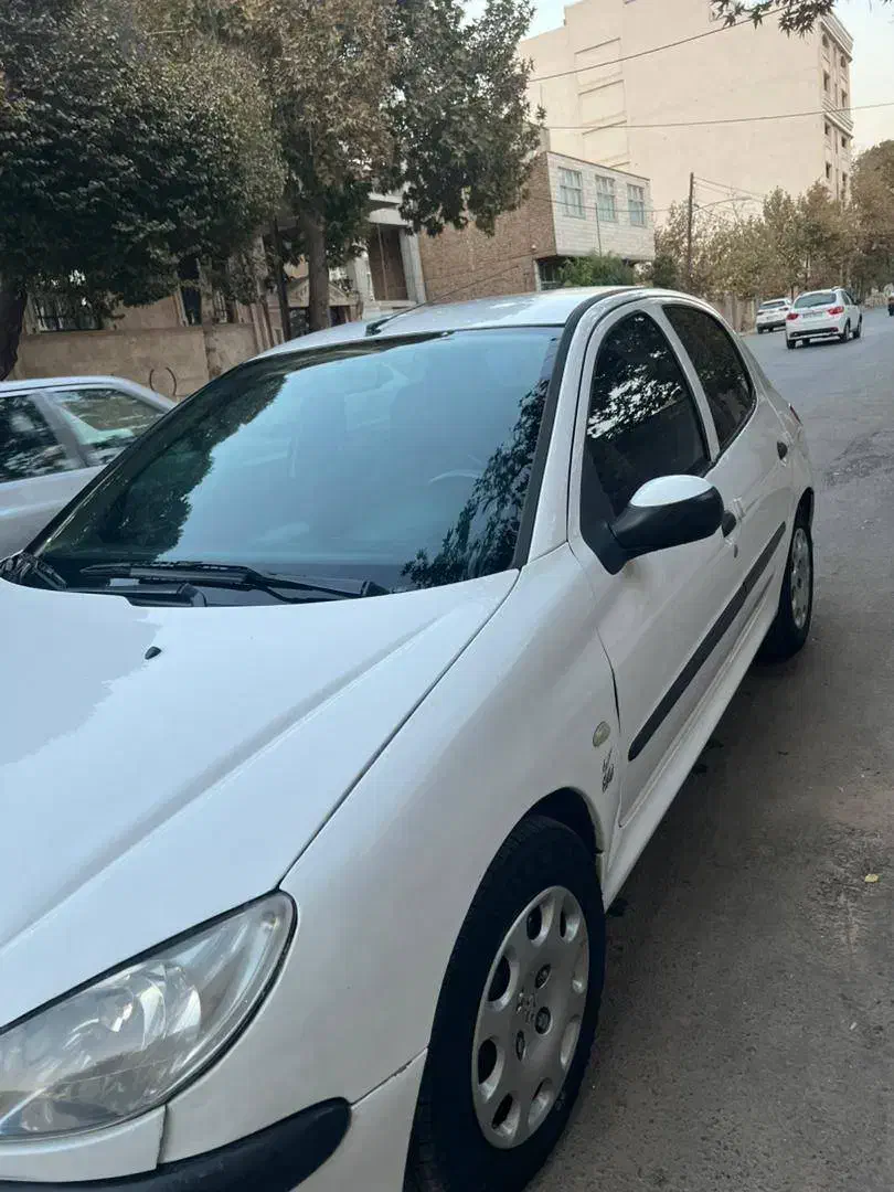 پژو 206 تیپ 2 - 1391