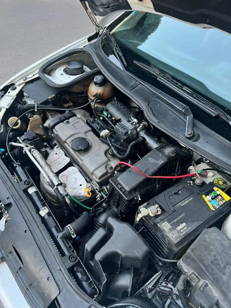 پژو 206 تیپ 2 - 1391