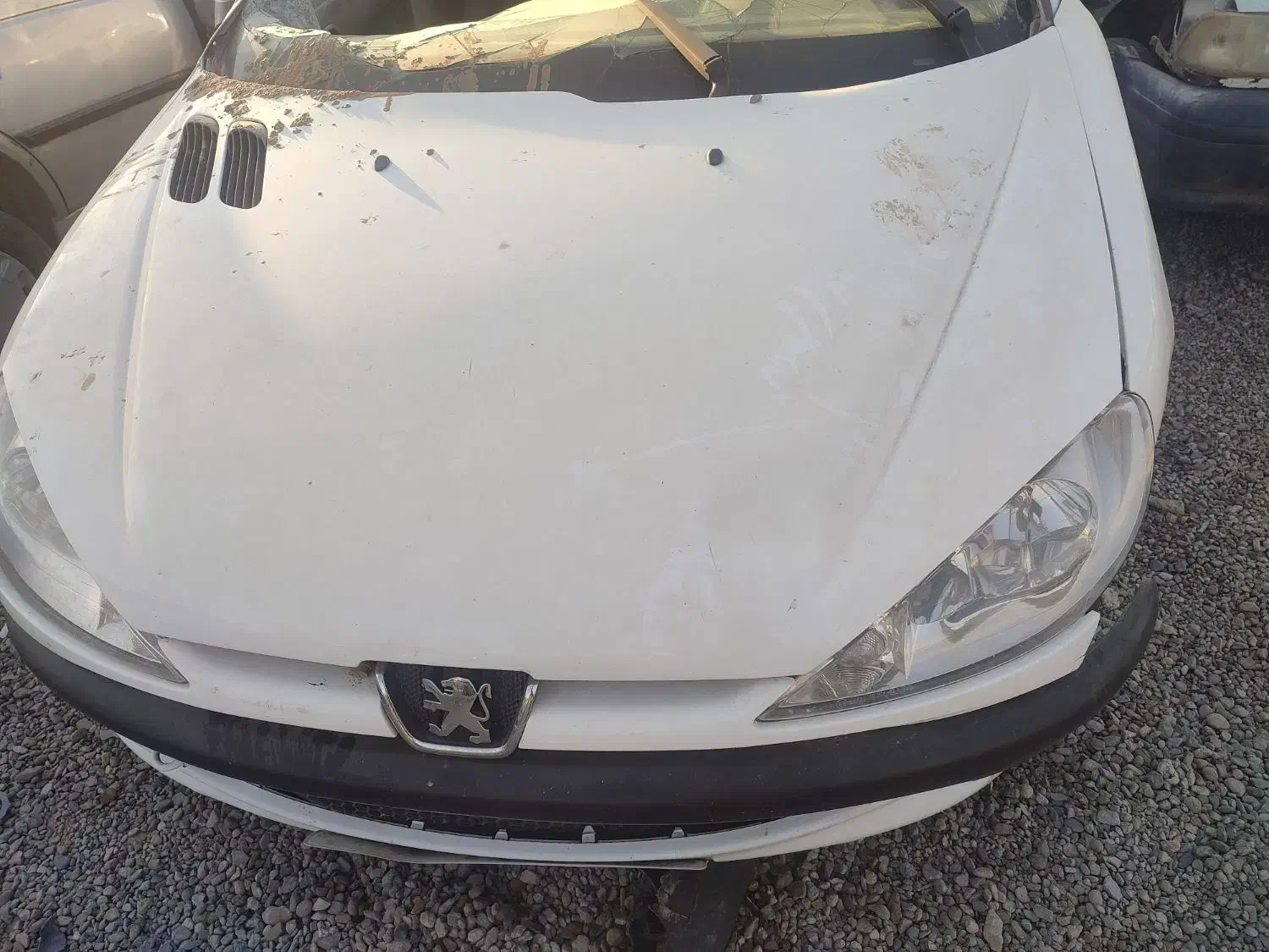 خودرو پژو، 206 آگهی ann_20901708