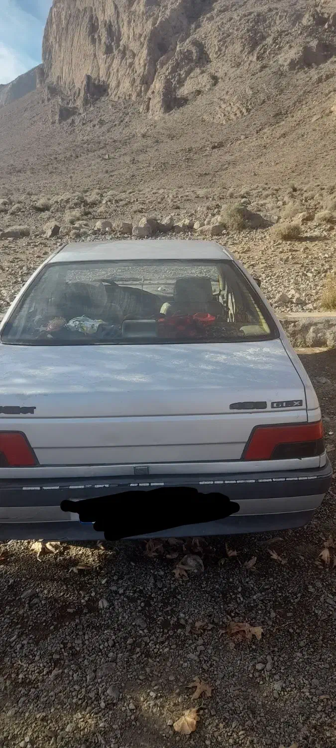 پژو 405 GLX - دوگانه سوز - 1392