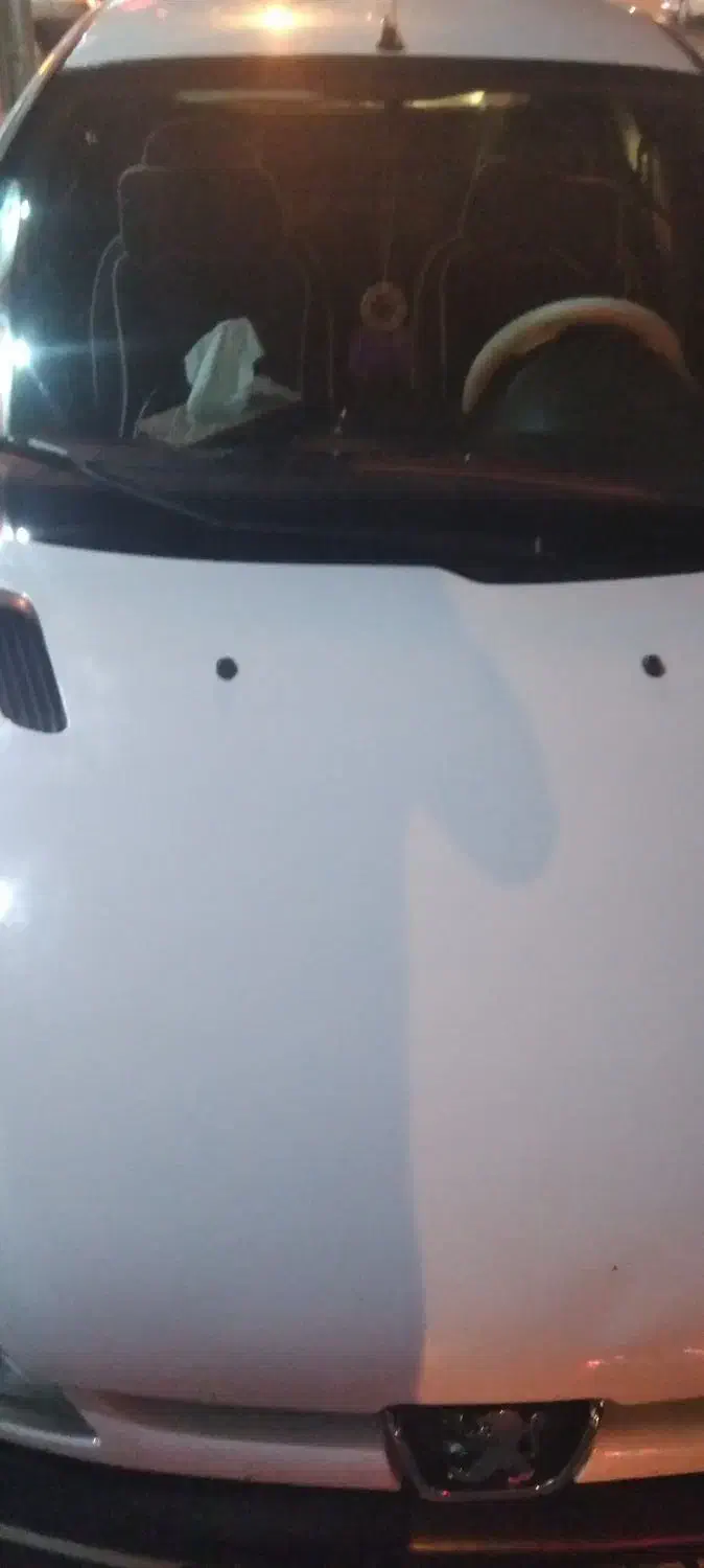 پژو 206 تیپ 5 - 1395