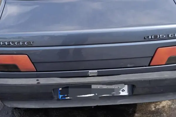 خودرو پژو، 405 آگهی ann_20901978