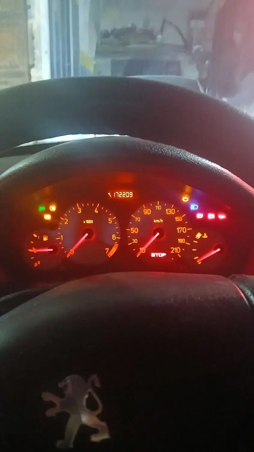 پژو 206 تیپ 5 - 1392