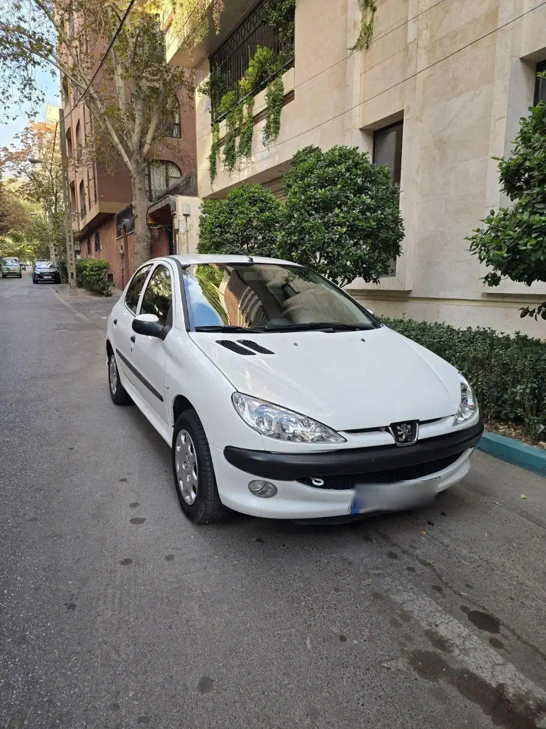 پژو 206 تیپ 5 - 1394