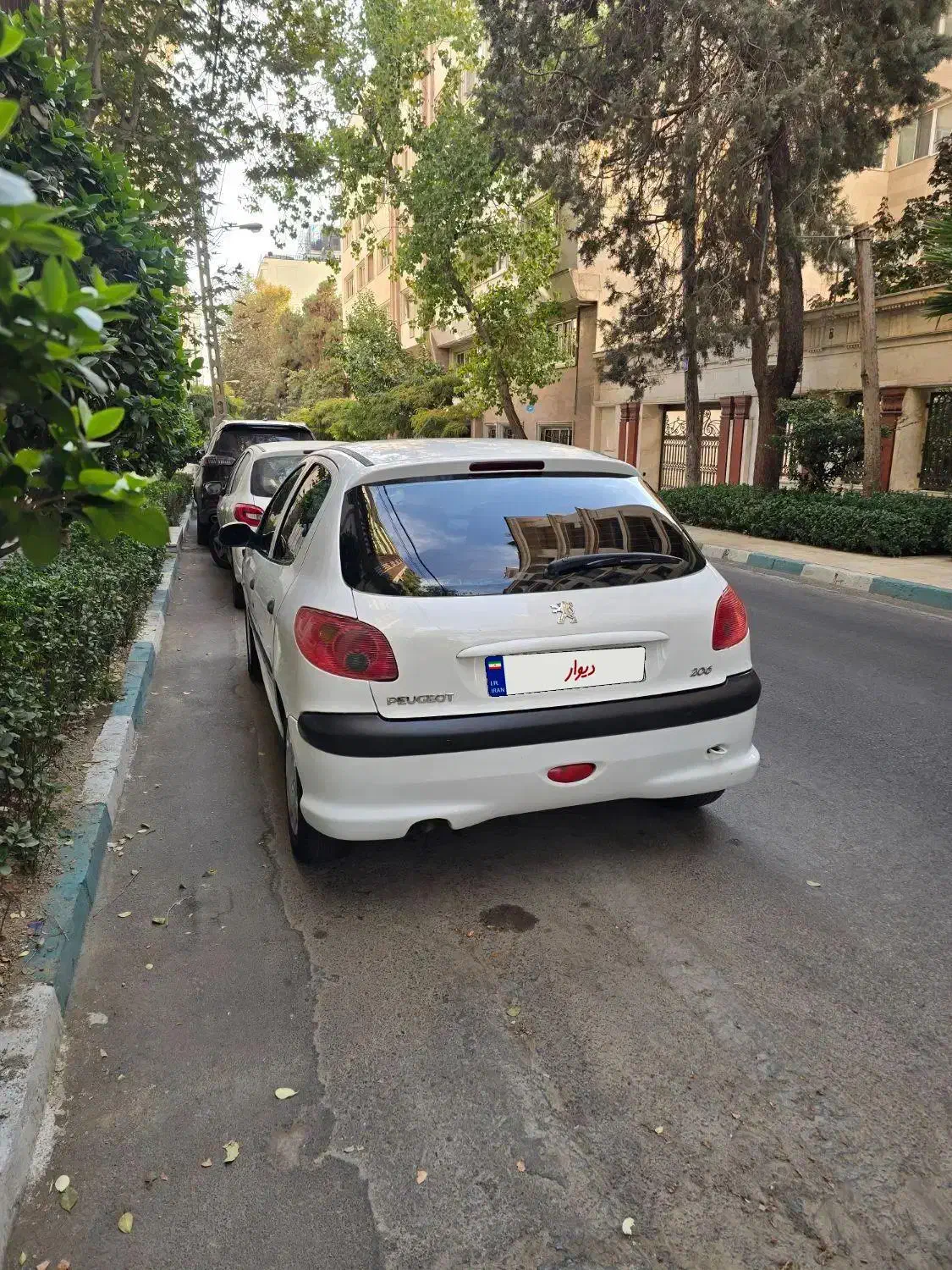 پژو 206 تیپ 5 - 1394