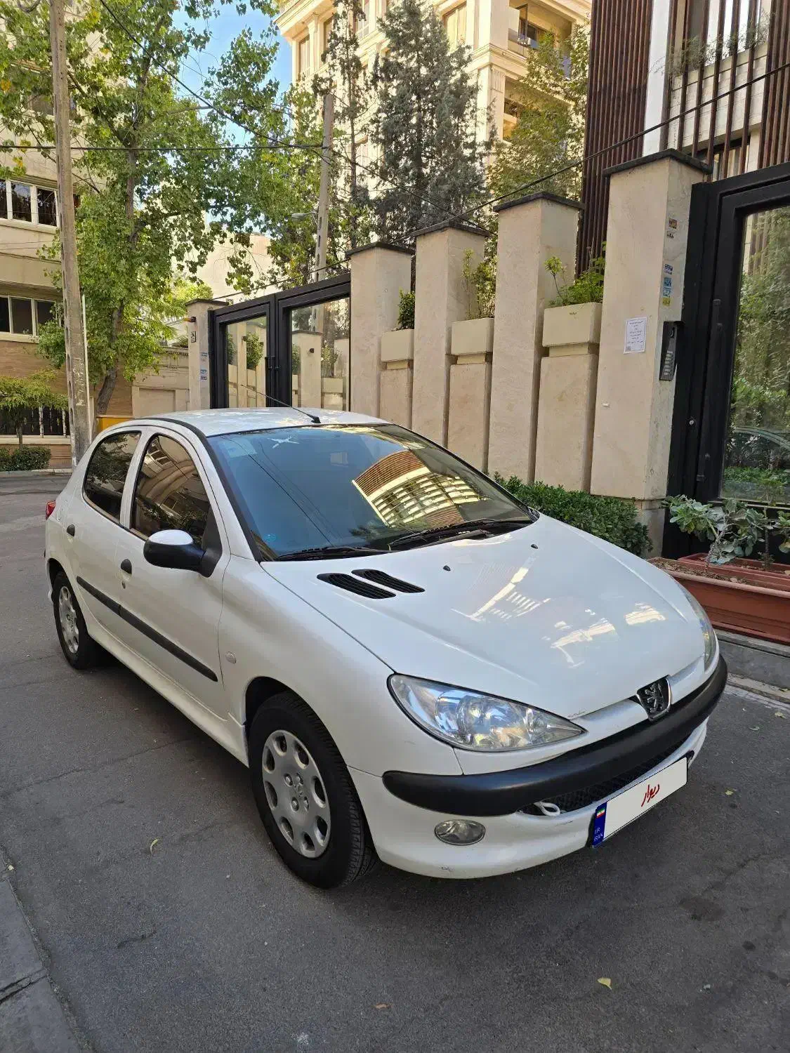 پژو 206 تیپ 5 - 1394