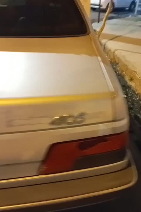 خودرو پژو، 405 آگهی ann_20902118