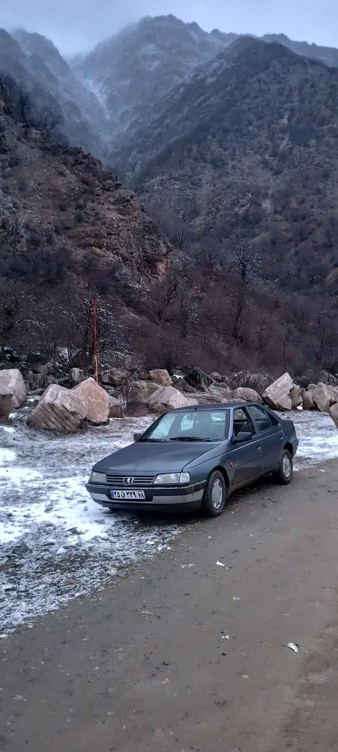 خودرو پژو، 405 آگهی ann_20902256