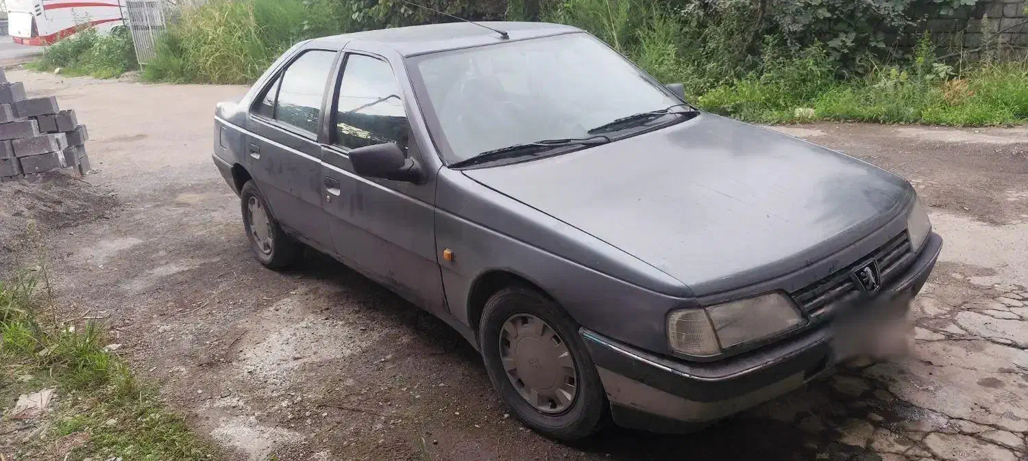 پژو 405 GLX - 1384