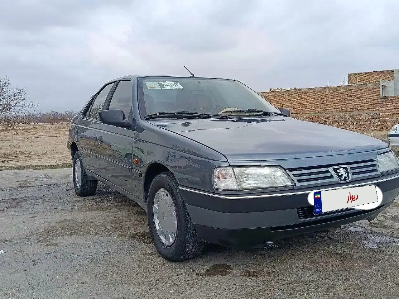 پژو 405 GLX - دوگانه سوز - 1394