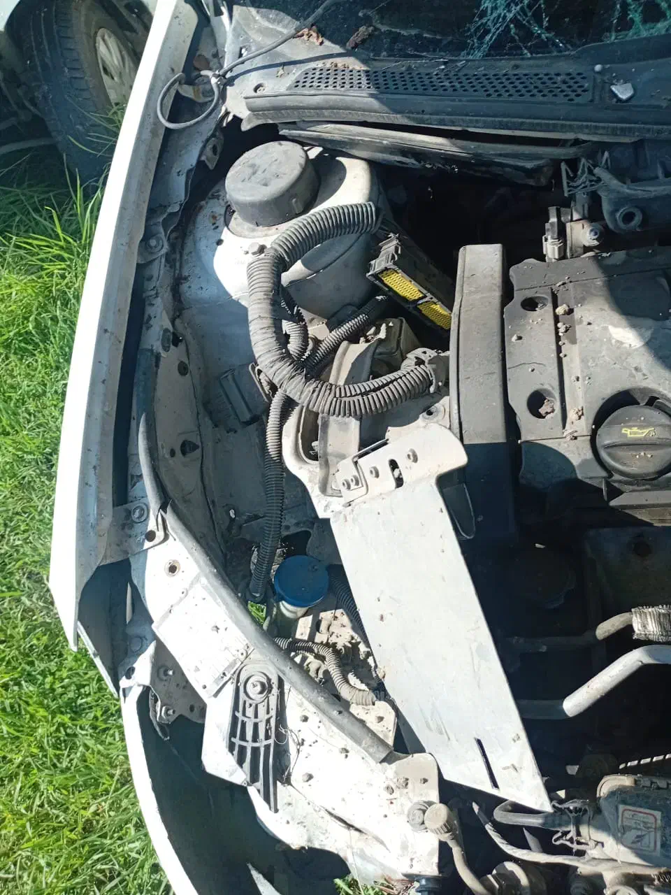 رانا LX TU5 - 1392