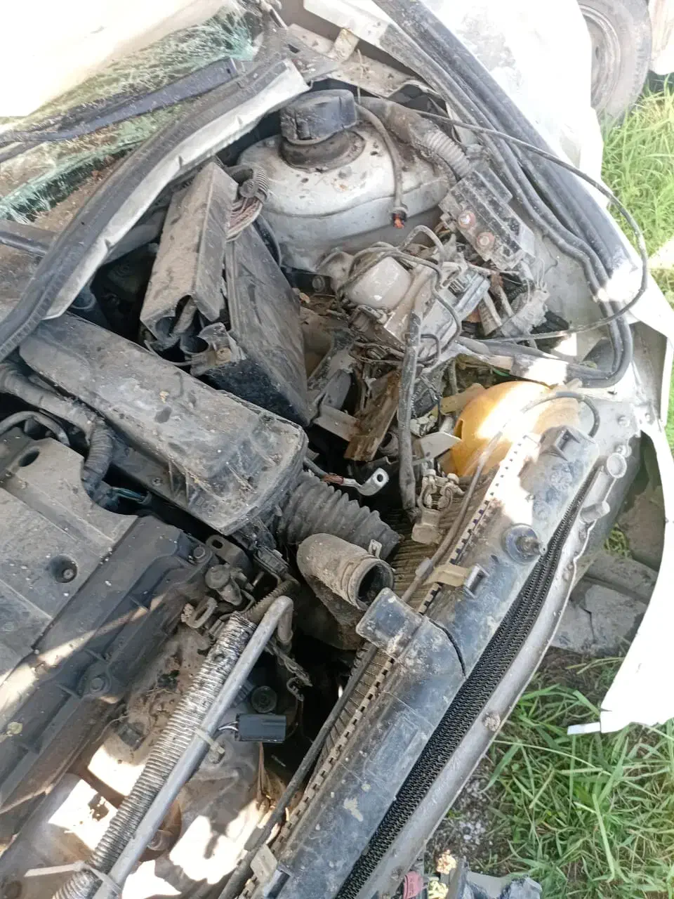 رانا LX TU5 - 1392