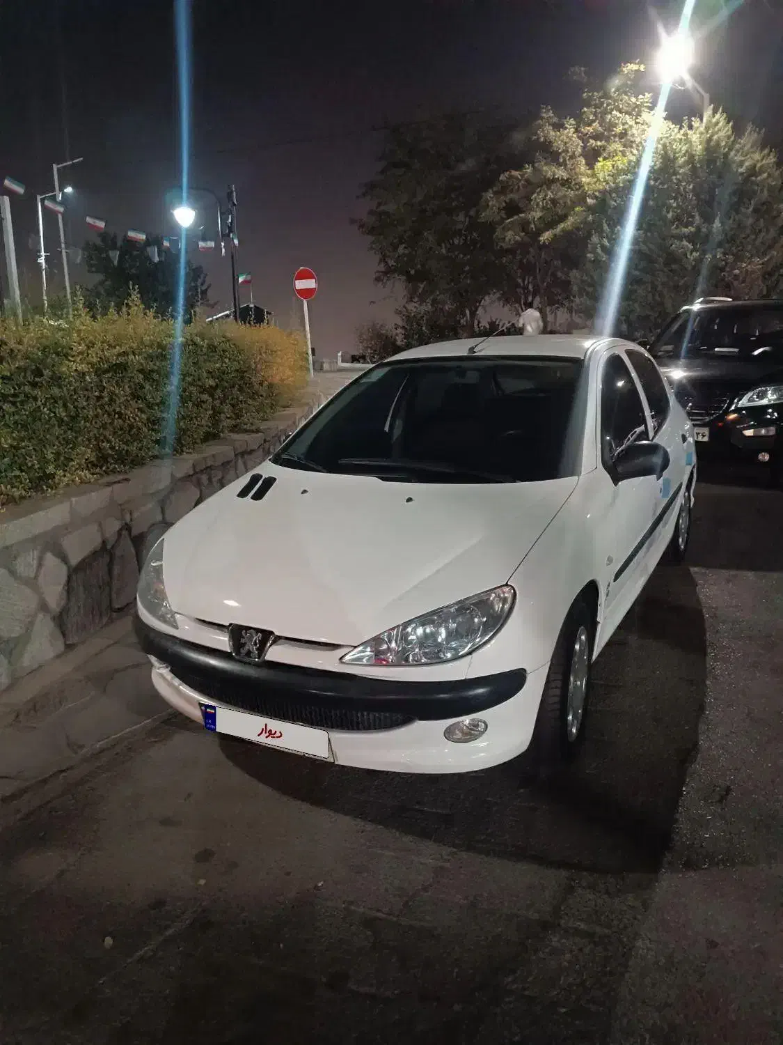 پژو 206 تیپ 2 - 1399