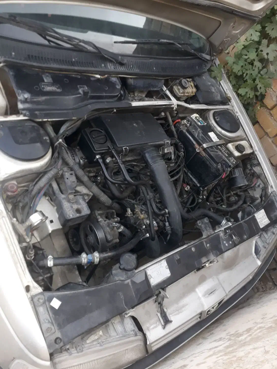 پژو 405 GLX - دوگانه سوز - 1384