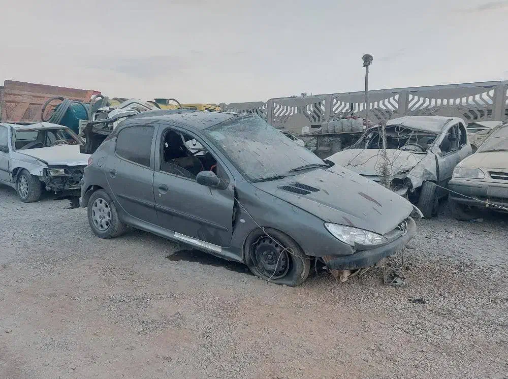 پژو 206 تیپ 5 - 1395