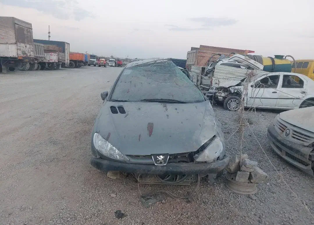 پژو 206 تیپ 5 - 1395