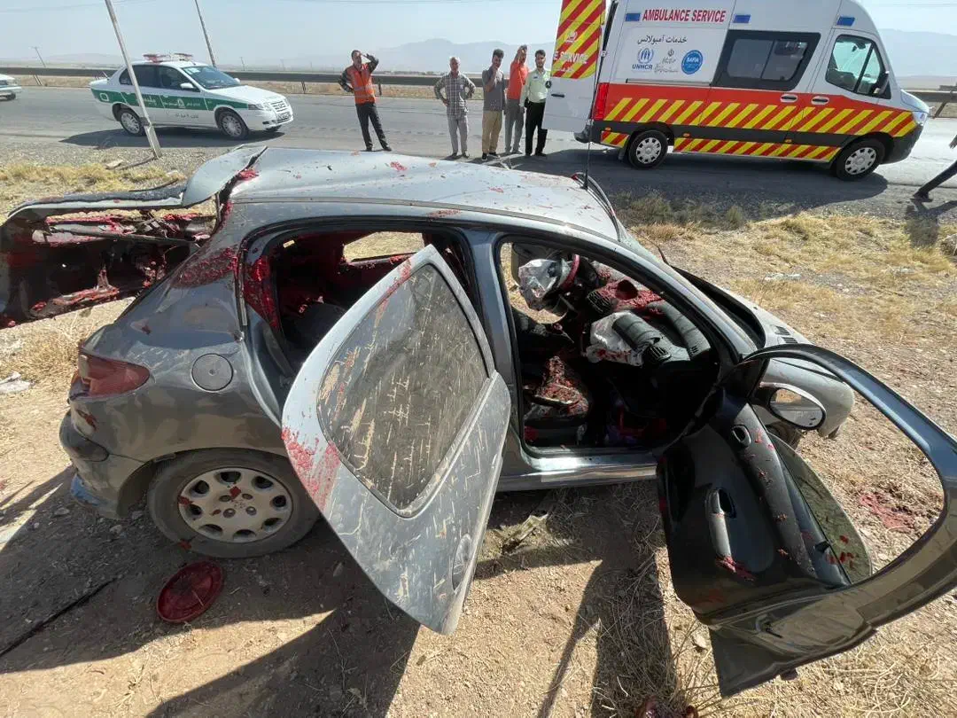 پژو 206 تیپ 5 - 1395