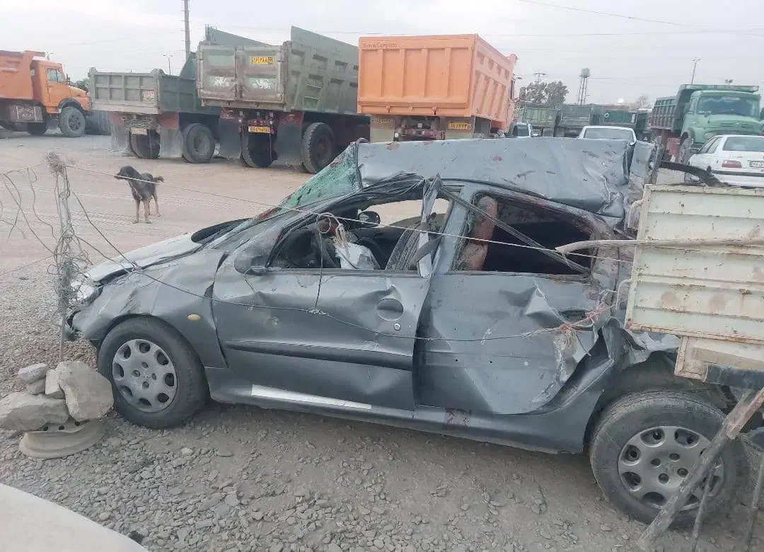 پژو 206 تیپ 5 - 1395