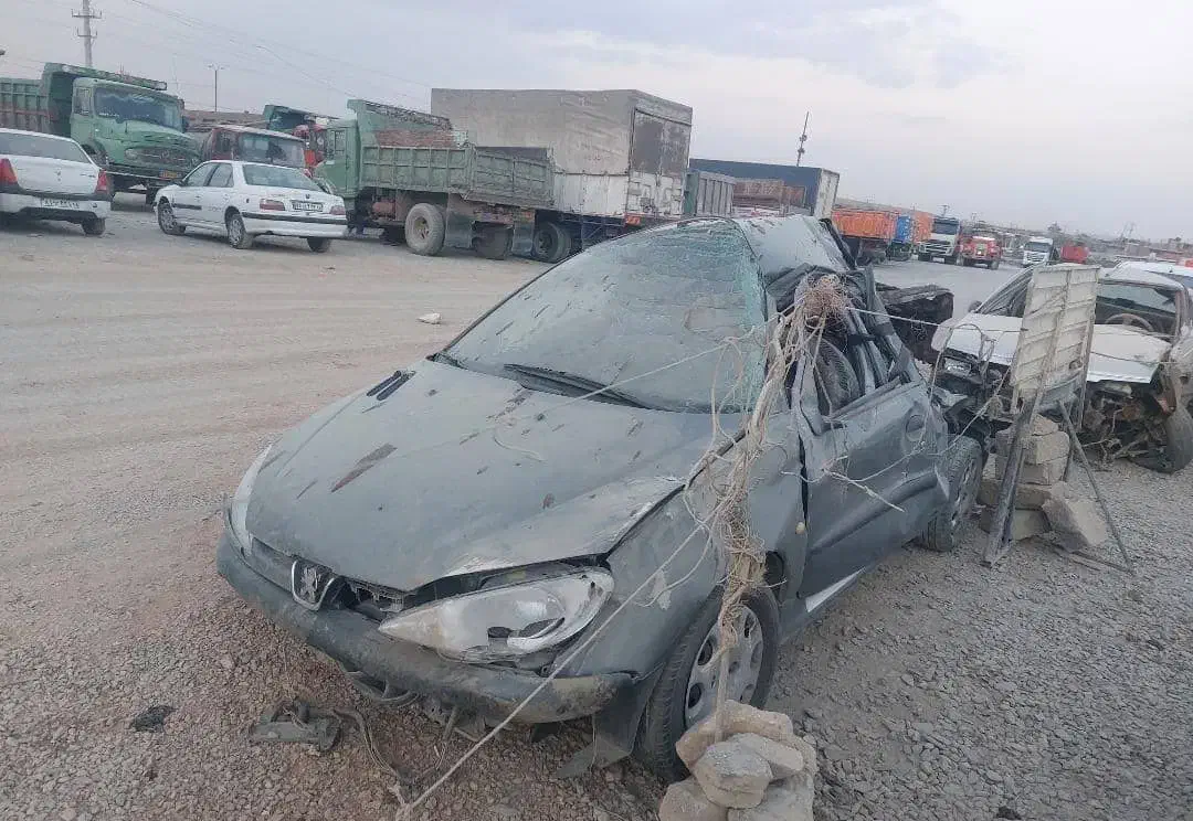 پژو 206 تیپ 5 - 1395