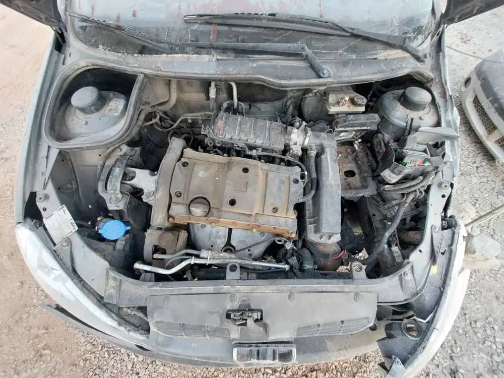 پژو 206 تیپ 5 - 1395