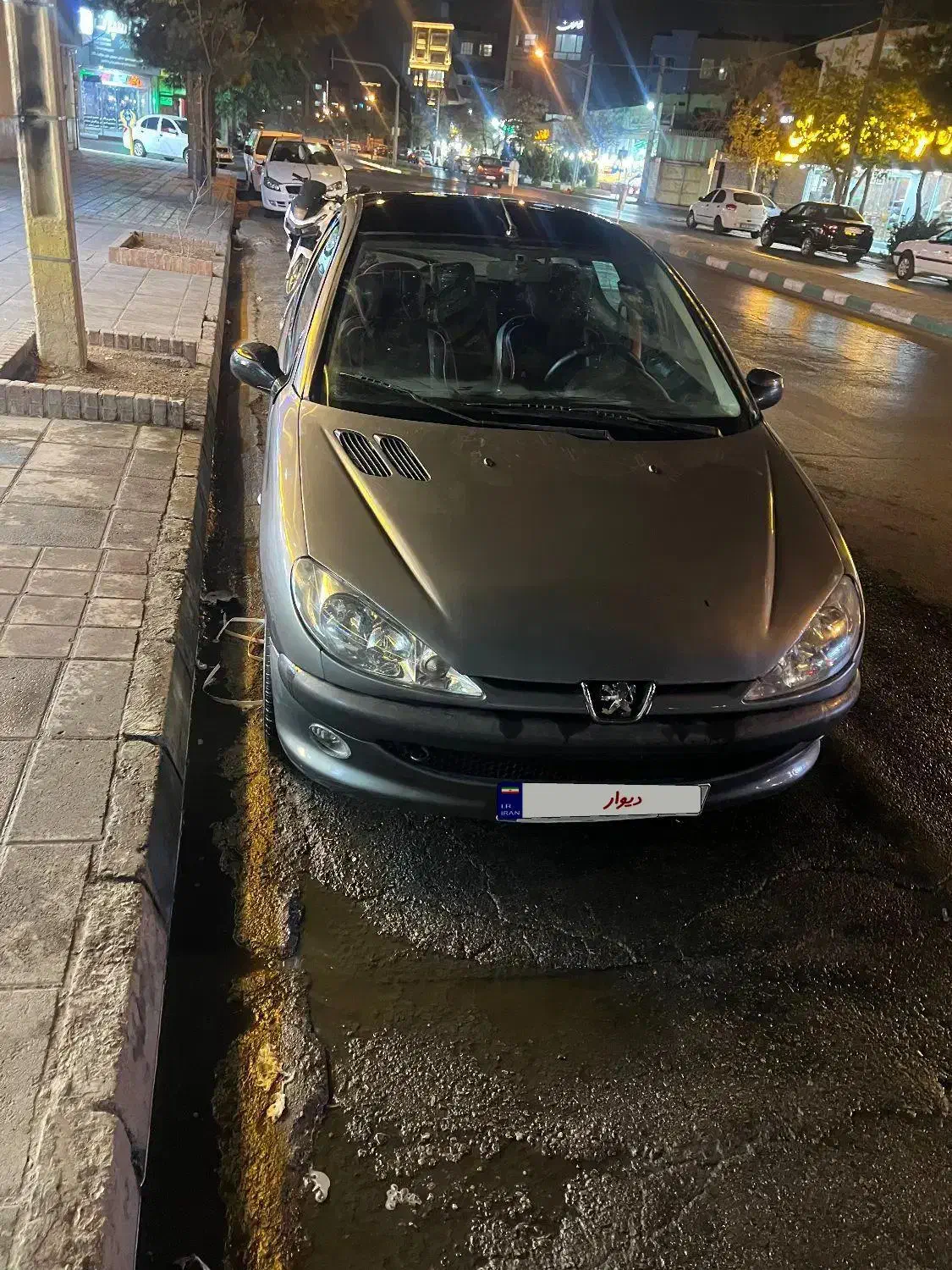 پژو 206 تیپ 2 - 1384