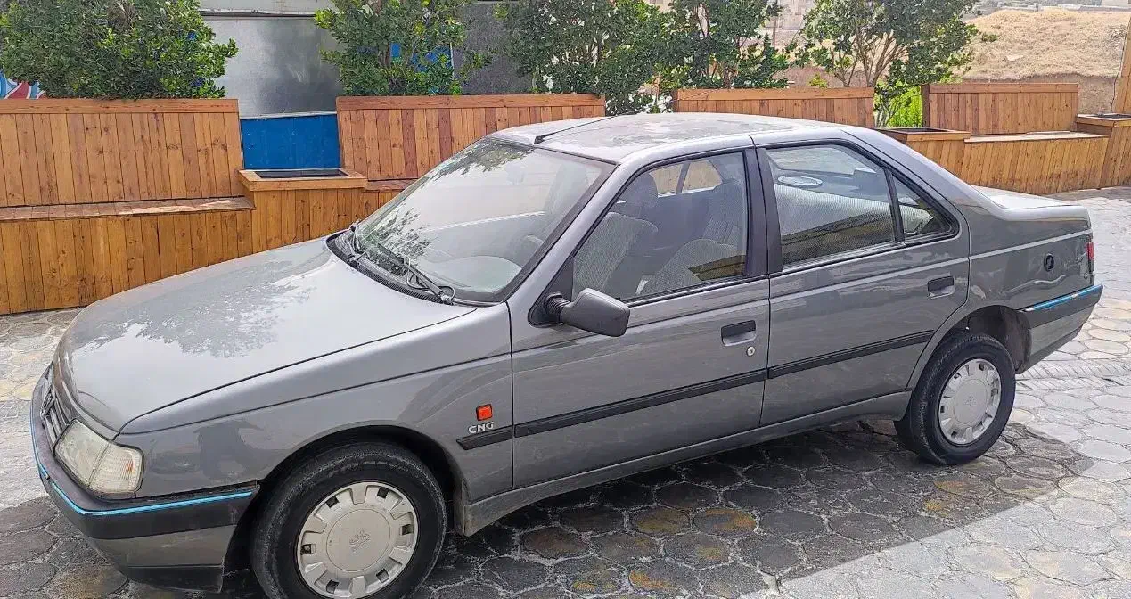 پژو 405 GLX - دوگانه سوز - 1386