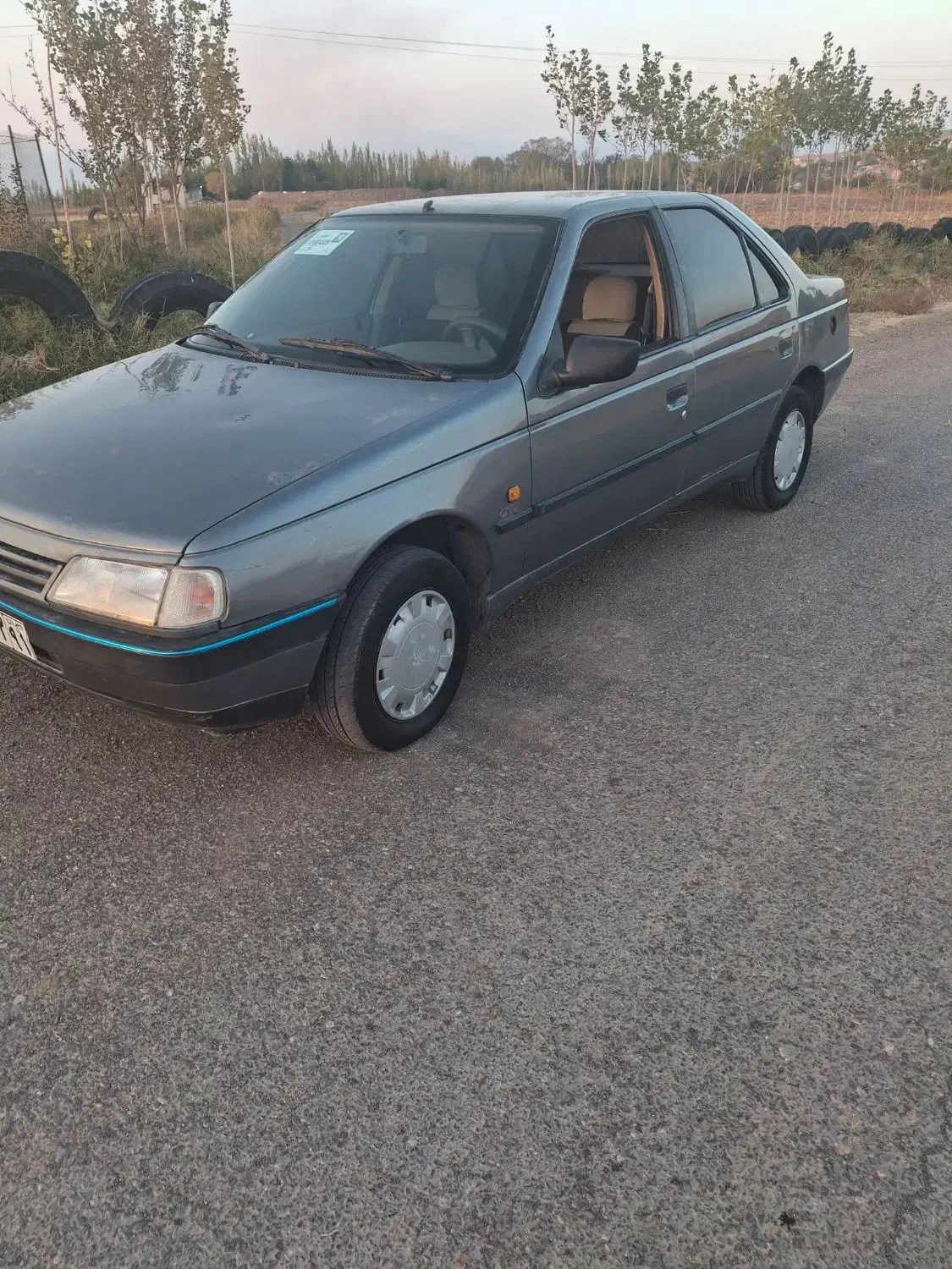 پژو 405 GLX - دوگانه سوز - 1391