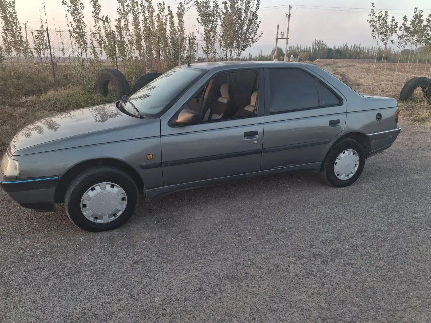 پژو 405 GLX - دوگانه سوز - 1391