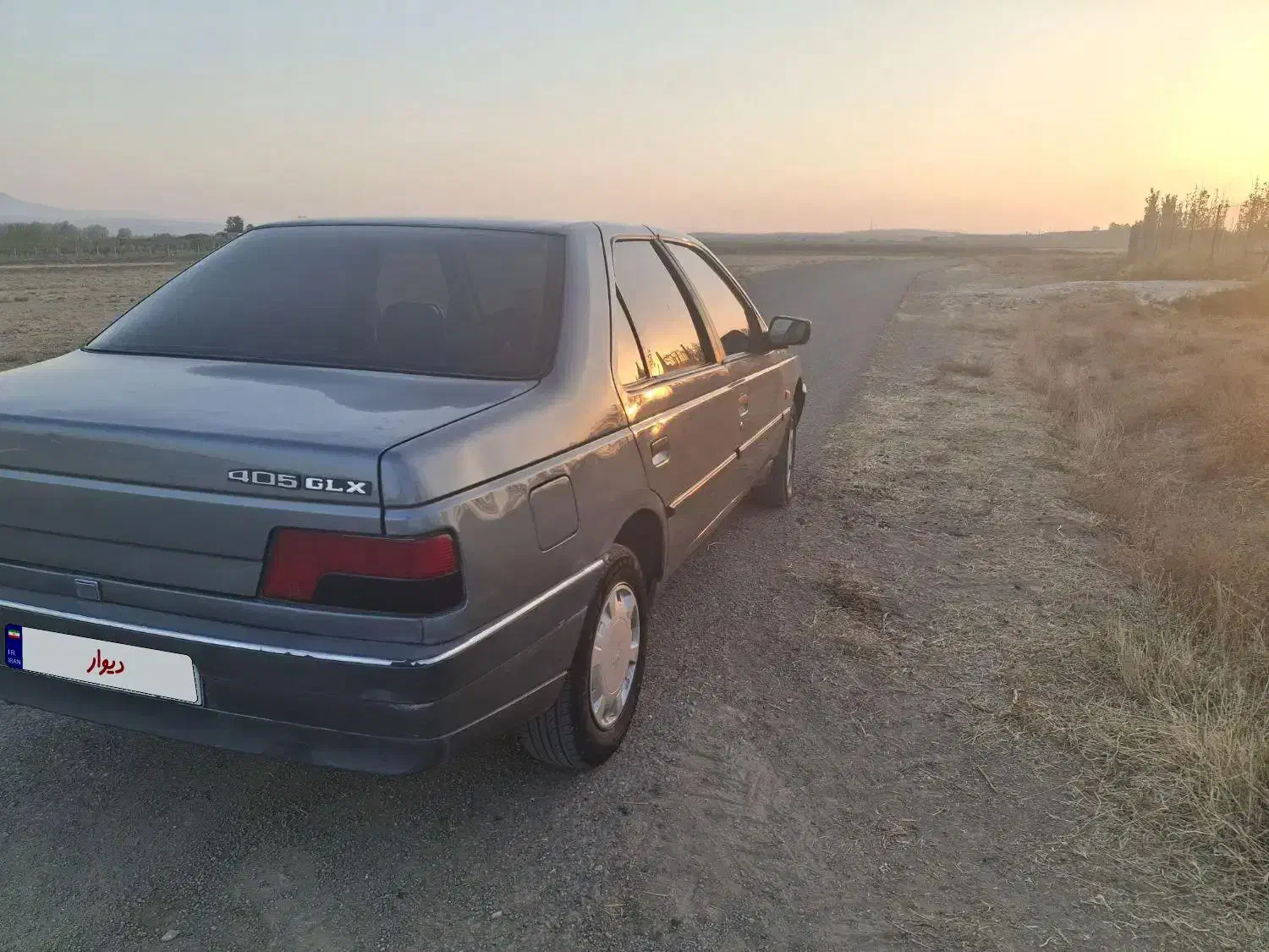 پژو 405 GLX - دوگانه سوز - 1391