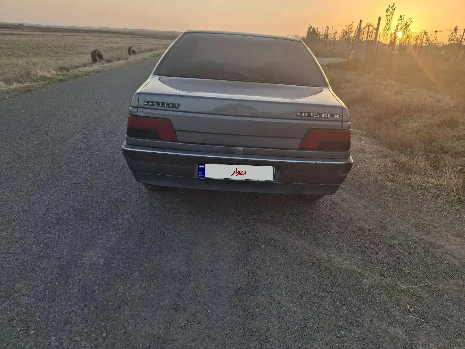 پژو 405 GLX - دوگانه سوز - 1391