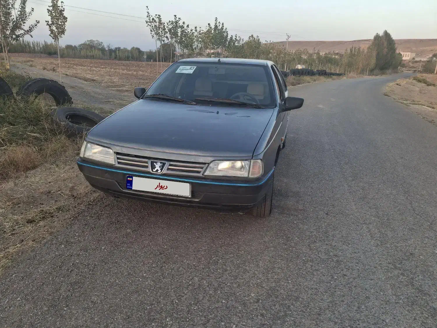 پژو 405 GLX - دوگانه سوز - 1391