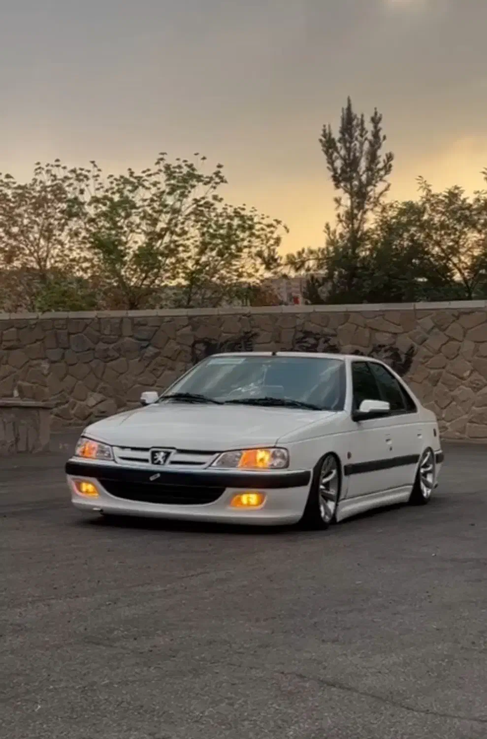 پژو پارس ELX-XU7P سفارشی - 1389