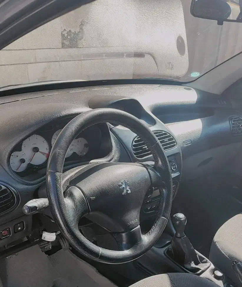 پژو 206 تیپ 5 - 1394