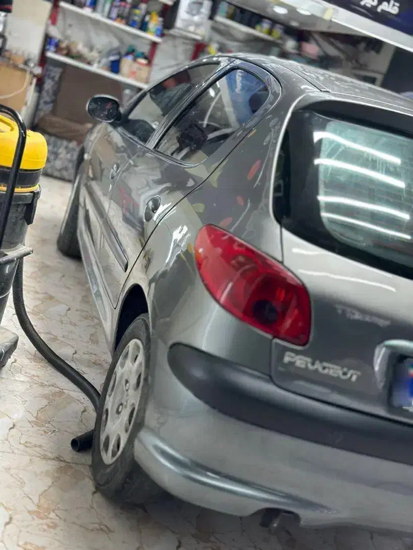 پژو 206 تیپ 5 - 1394