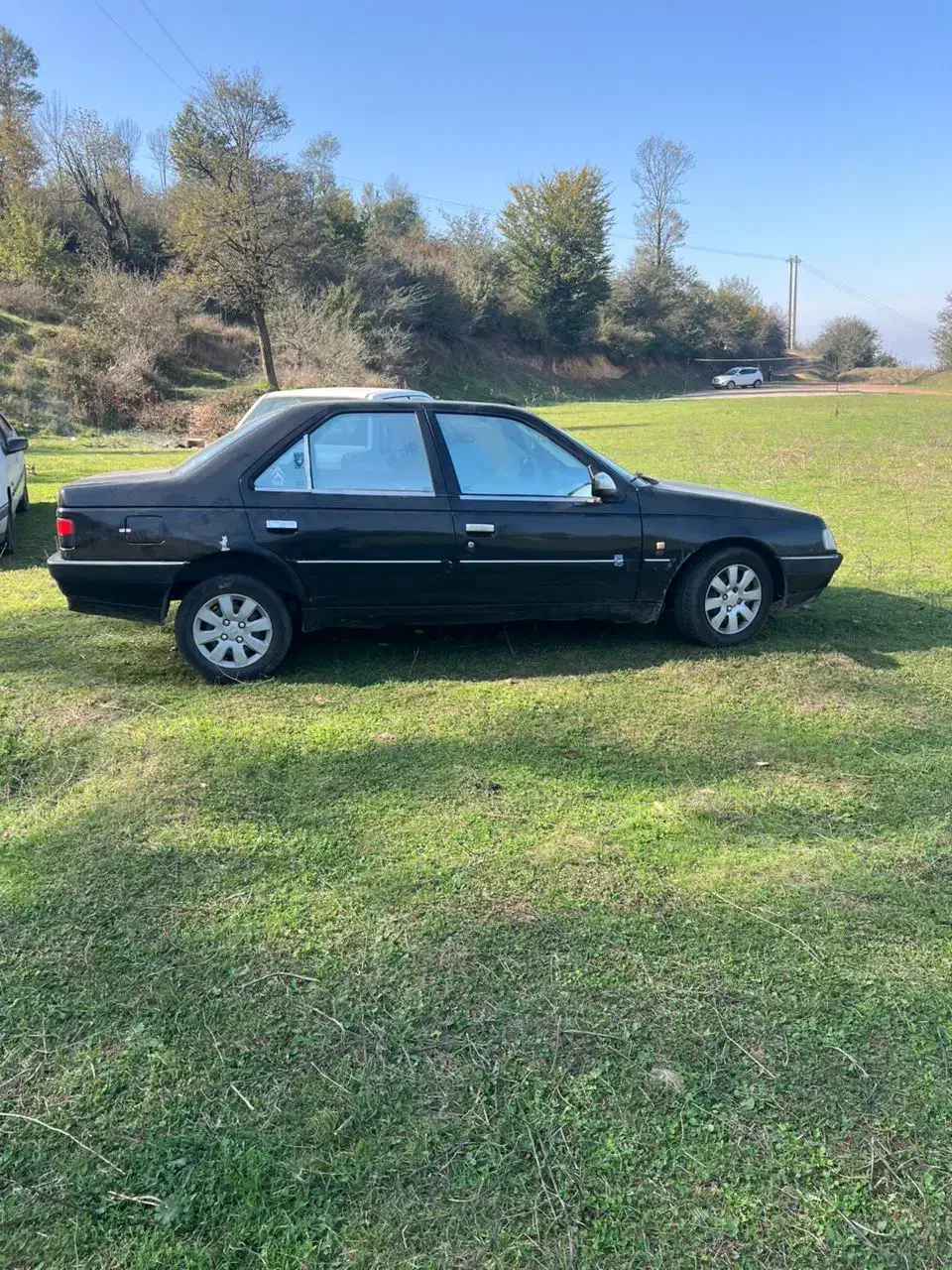 خودرو پژو، 405 آگهی ann_20903564