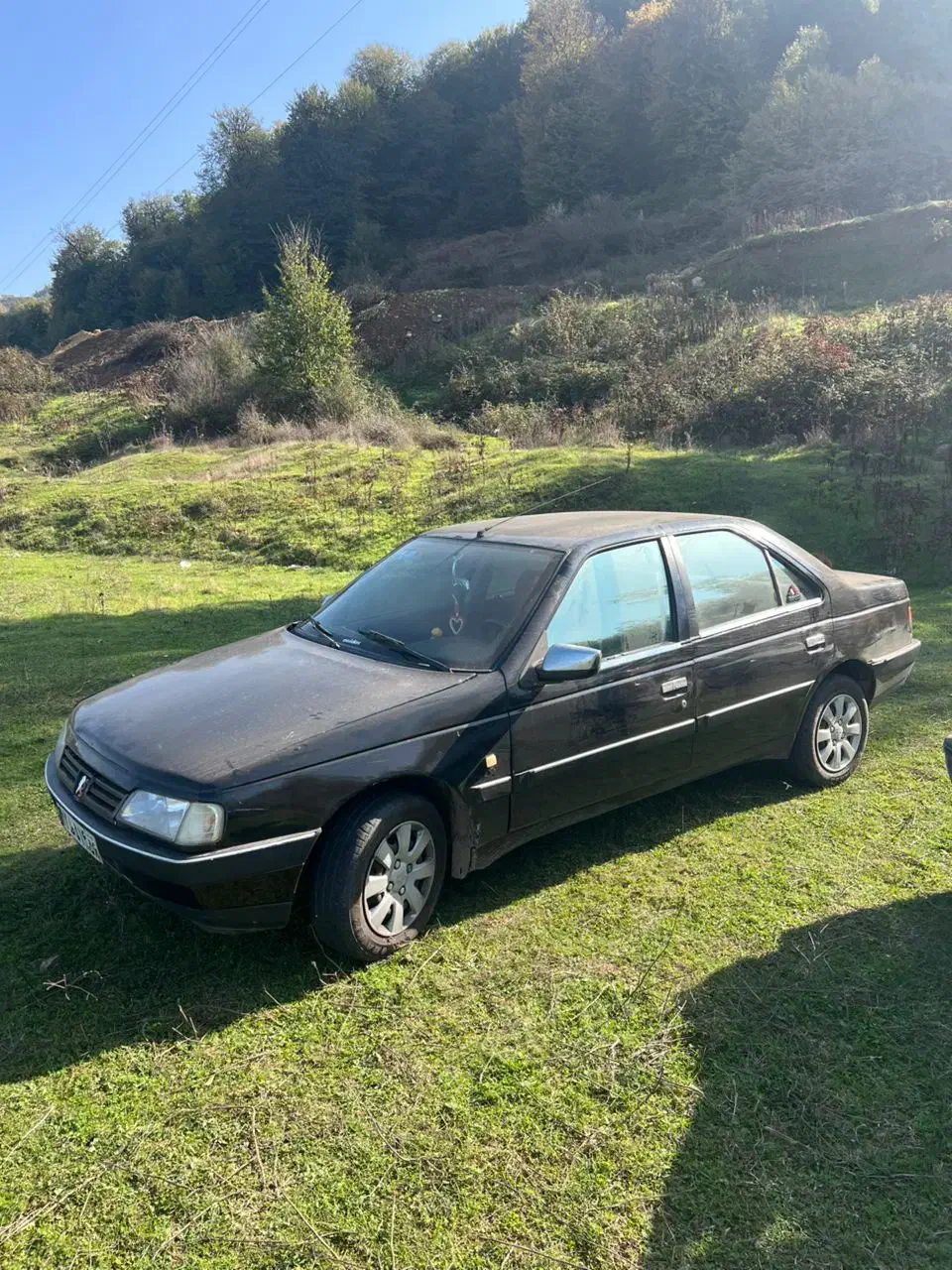 پژو 405 GLX - 1383