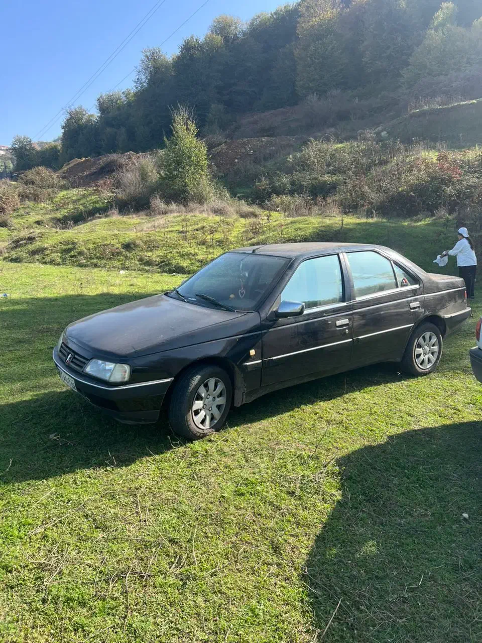 پژو 405 GLX - 1383