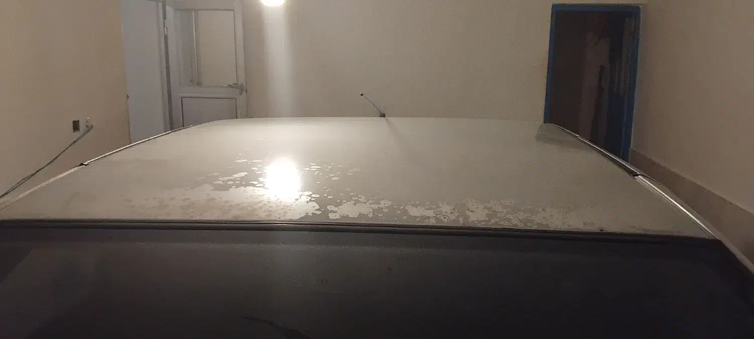 پژو روآ G2 دوگانه سوز - 1389