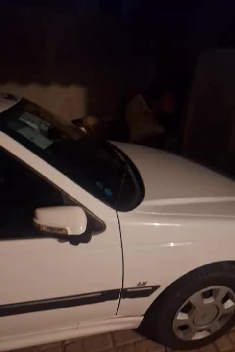 خودرو پژو، پارس آگهی ann_20903750