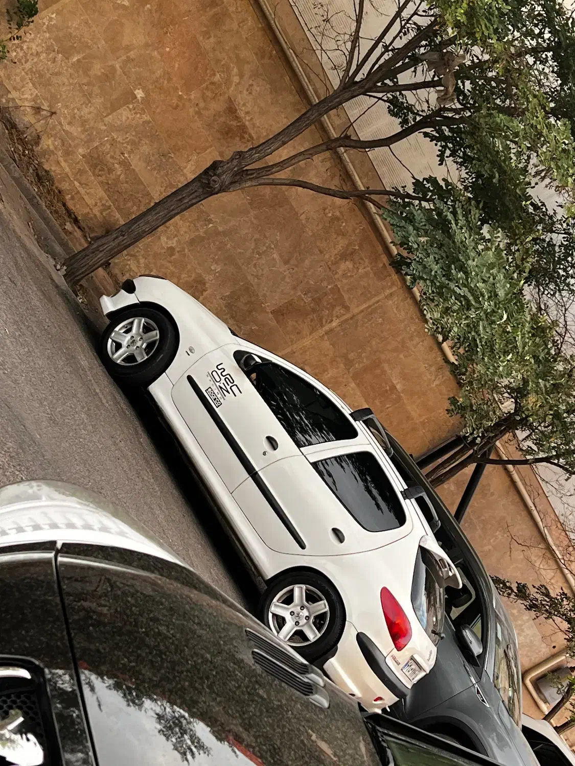 پژو 206 تیپ 5 - 1395