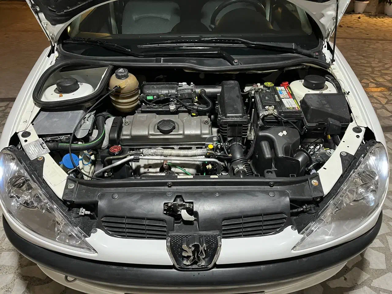 پژو 206 تیپ 2 - 1389